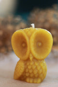Barred Owl Beeswax Candle - The Buzzy Bee Co.