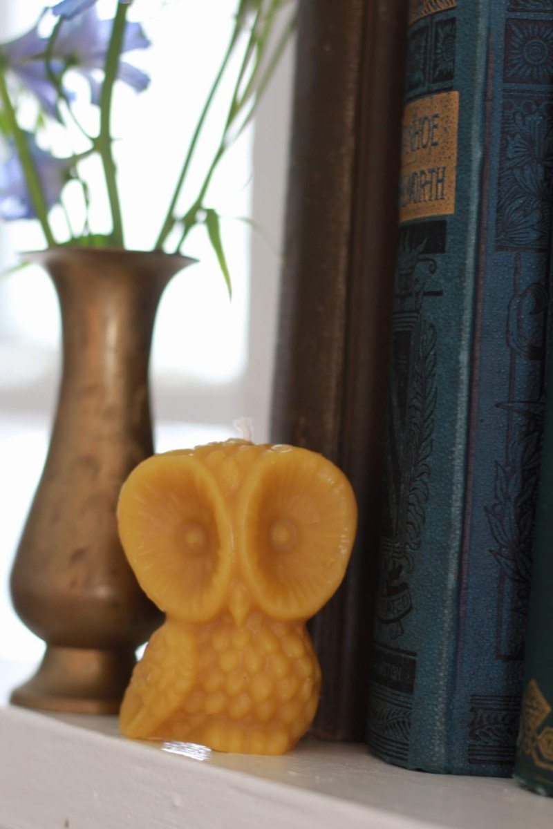 Barred Owl Beeswax Candle, Distant View on Shelf