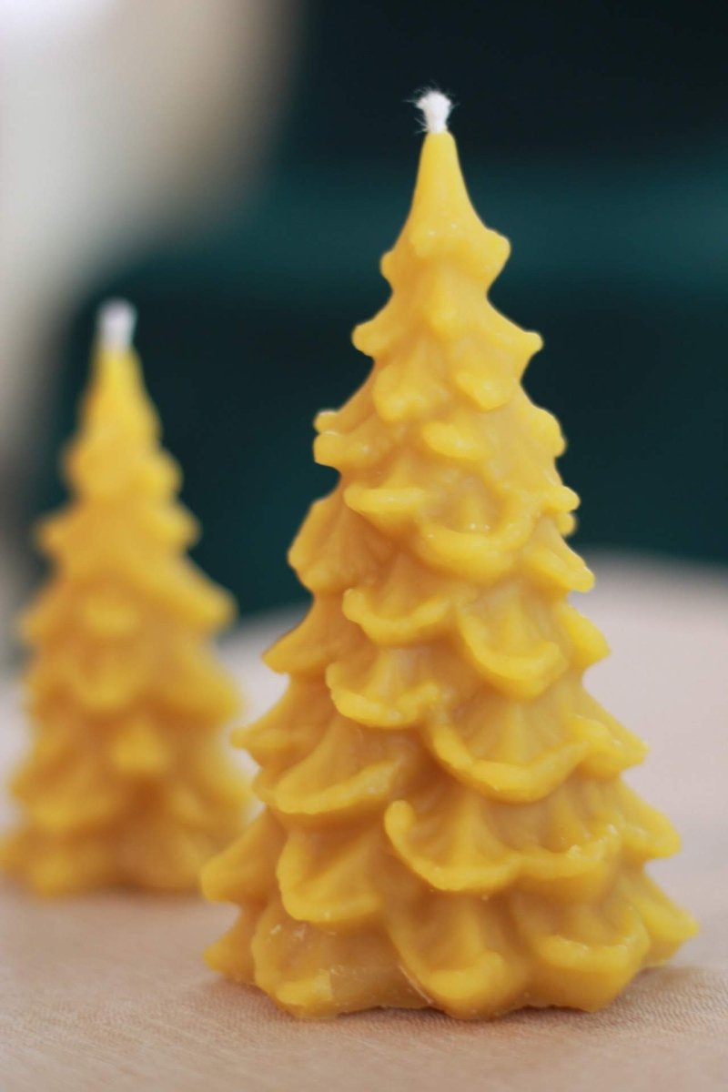 Fir Tree Beeswax Candle Set - The Buzzy Bee Co.