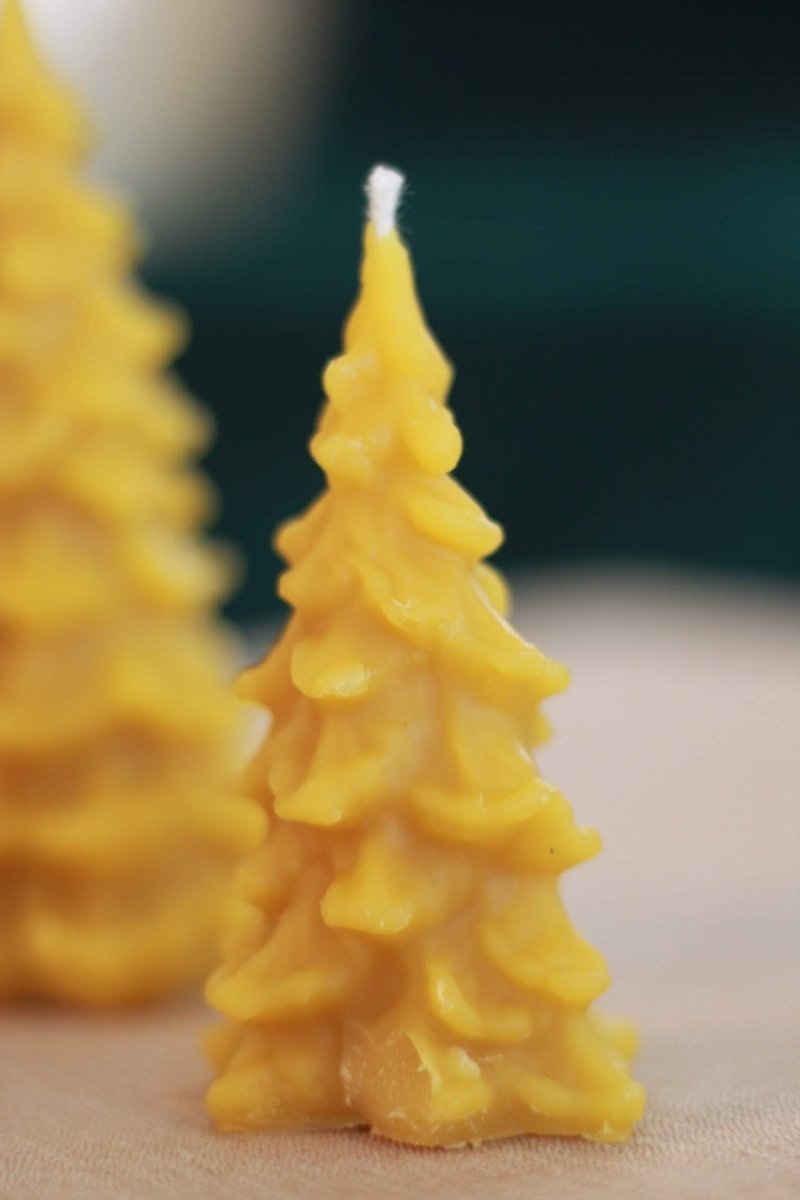 Fir Tree Beeswax Candle Set - The Buzzy Bee Co.