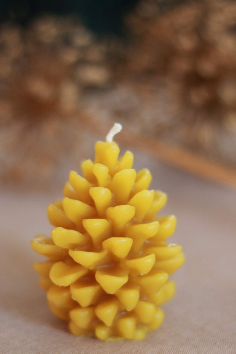 Pine Cone Beeswax Candle - The Buzzy Bee Co.